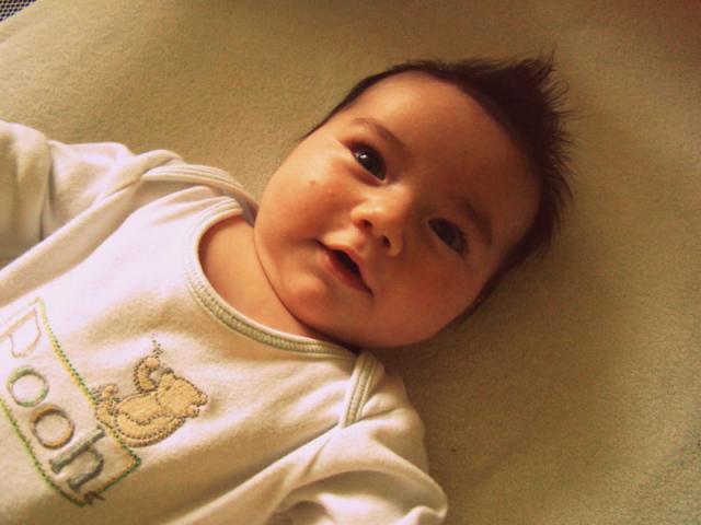 Wpis saosegio