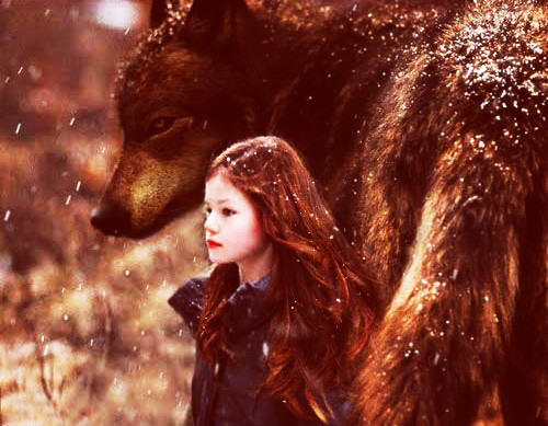 Wpis vampiressworld