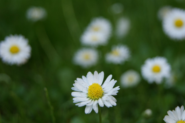 Pretty :P 