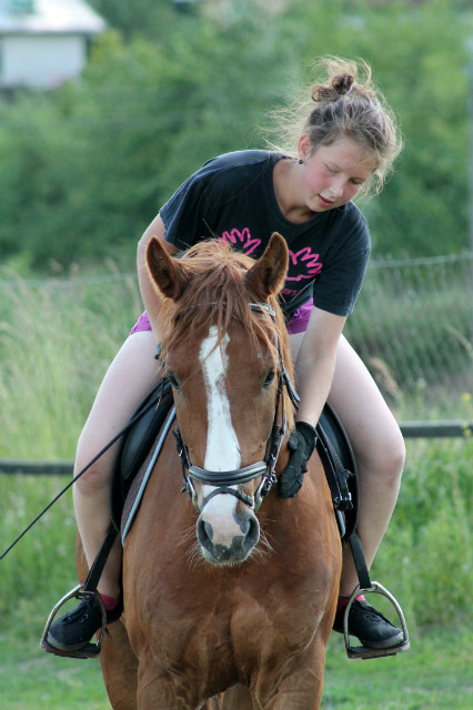 Wpis bayfilly