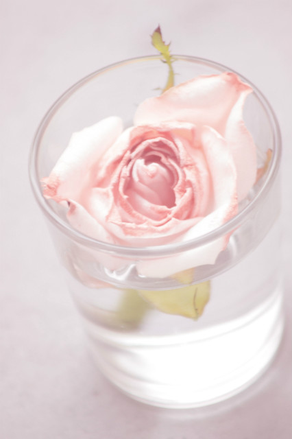 PASTEL