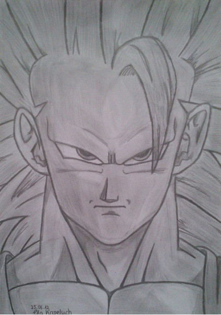 SonGokuu Poziom 3