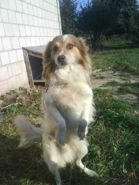 Wpis xxxpataaaxxx