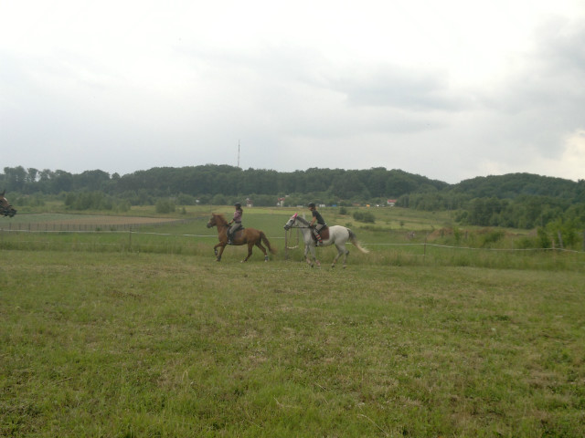 Wpis bayfilly