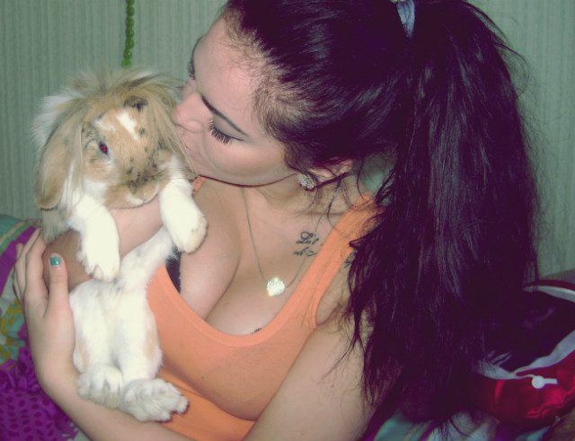 Wpis darittaa