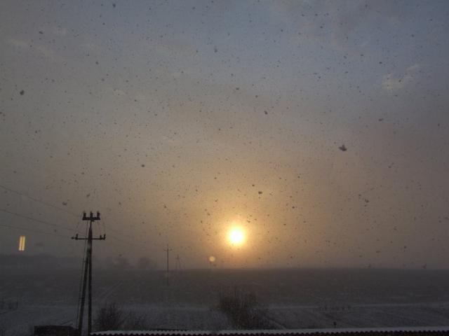 Burza niena