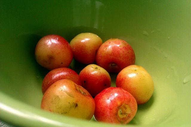 yummy !