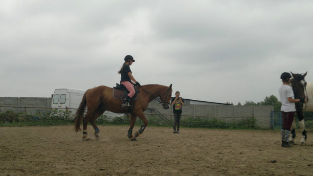 Wpis bayfilly
