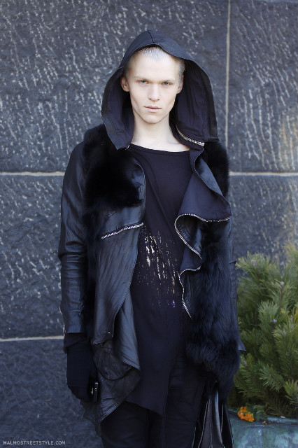 Wpis hanssonmodel