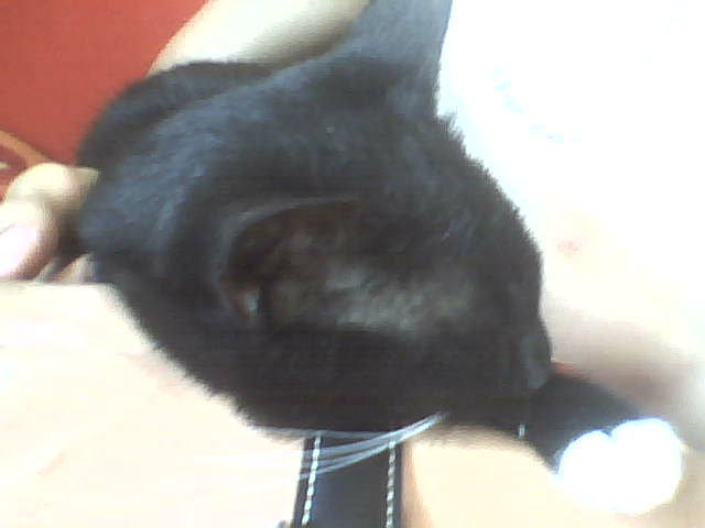 Wpis xxamelaxx