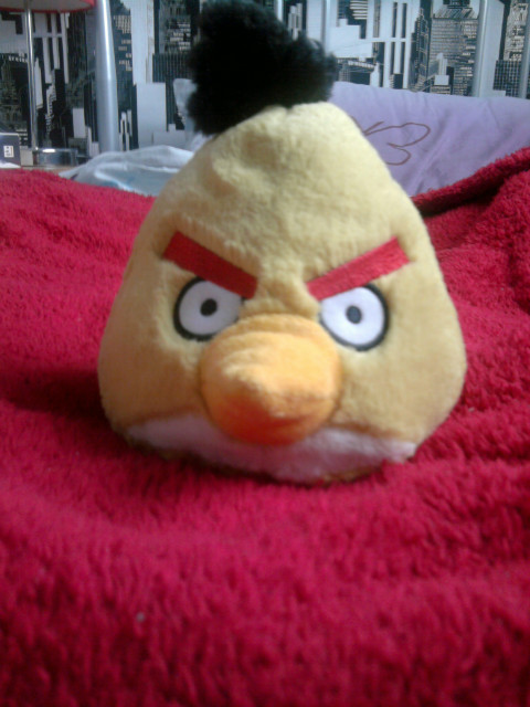 angry bird...