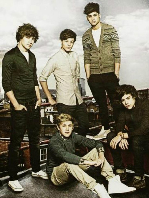 Wpis polishdirectionersxd