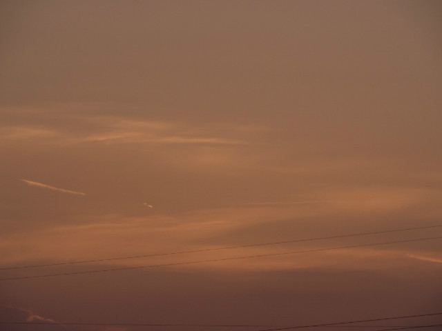 daily evening.