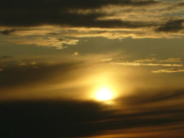 98