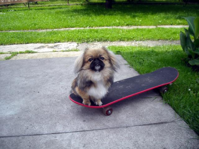 Ulubiony sport- tsaaa haha ;d xD