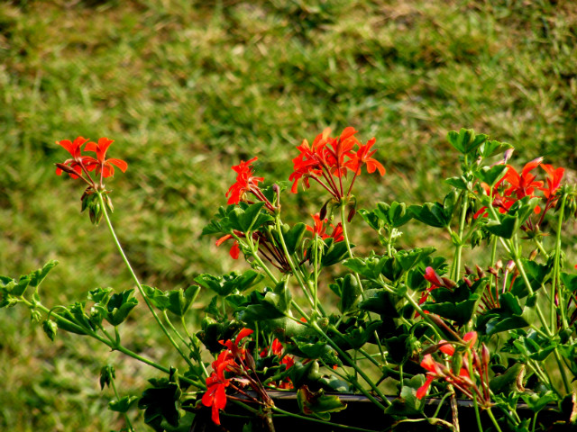 Wpis photographybydomi