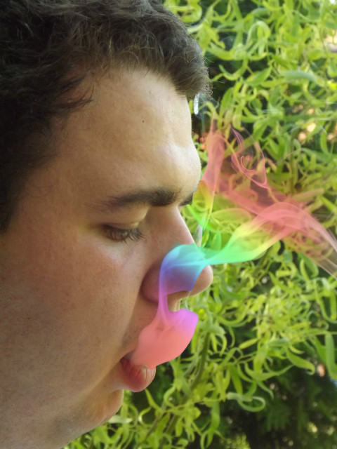 Some Smoke :D
