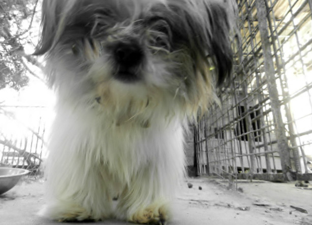 Don`t worry be happy :)