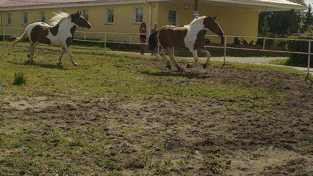 WIOOOOO, MYSZATE  ;D