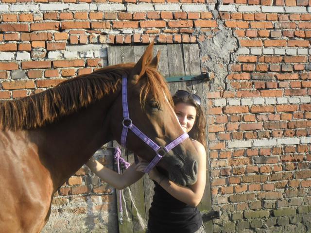 Wpis paulusiiia