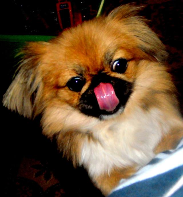 Znw stare. 