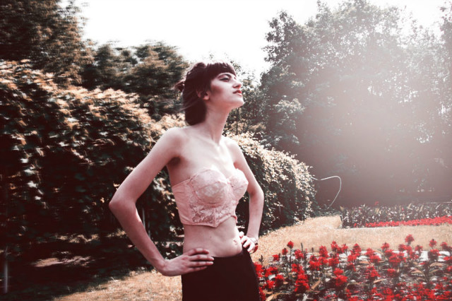 The Breath Of Roses 