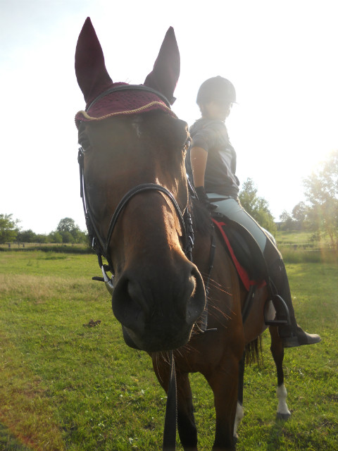 koocham ;**