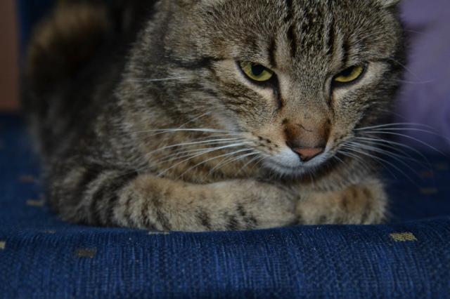 Puszek &#9829;