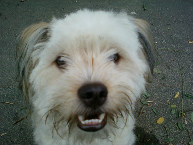 Zuka.! =D