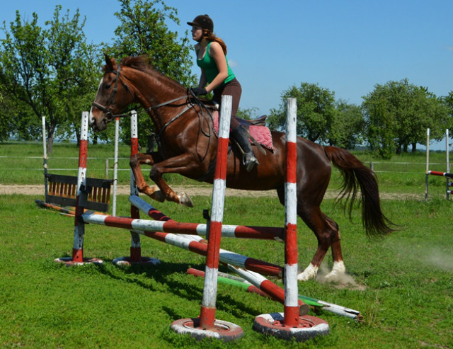 Dorota & Bajanka .