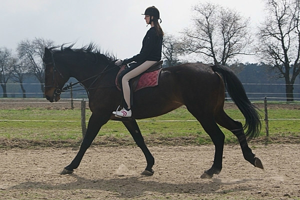Julia & Birma .