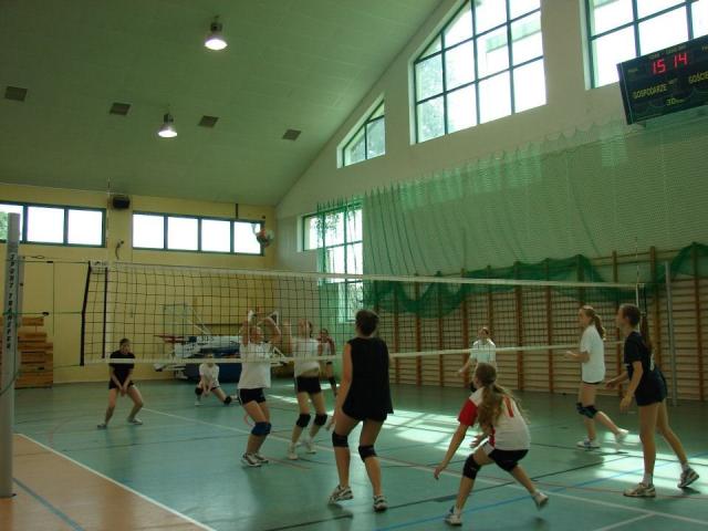 volleyball ; *