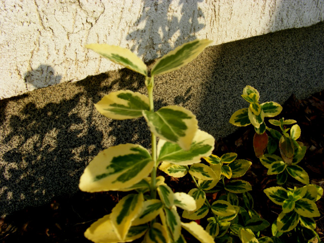 Wpis photographybydomi