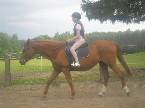 Wpis olusia988