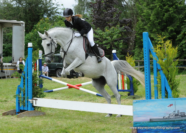 Wpis lussi134