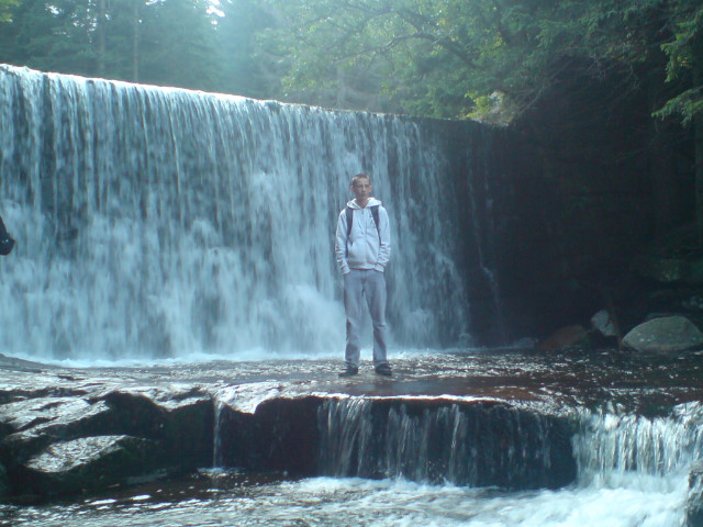 Wpis uszaty1995