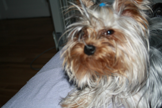 Armani:>
