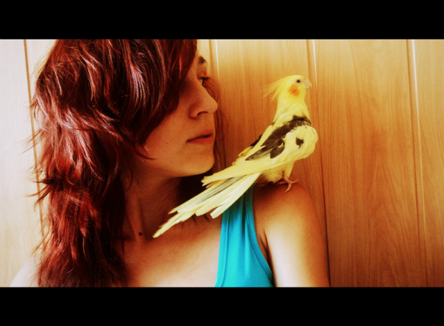 Wpis sunshinereggaex3