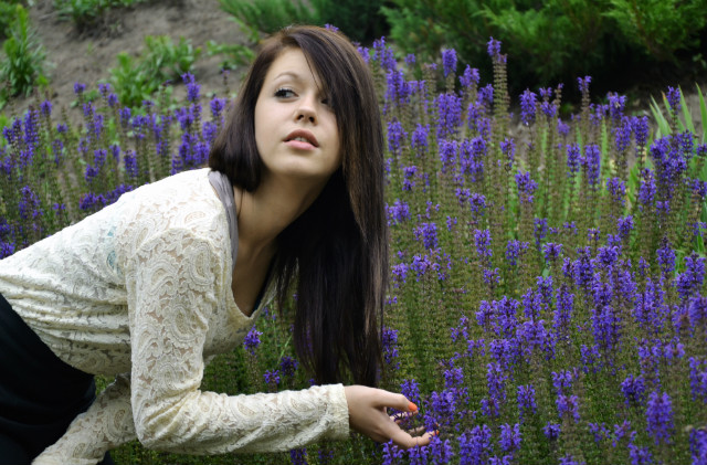 Flowers, flowers