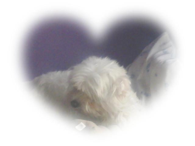 sonia&#9829;&#9829;