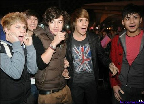 Wpis onedirectionx