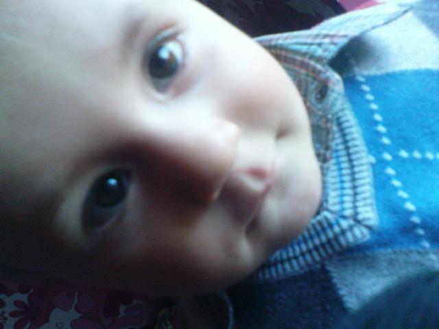 Wpis ninnja