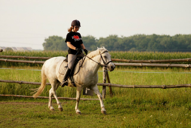 Wpis niebieskomixd