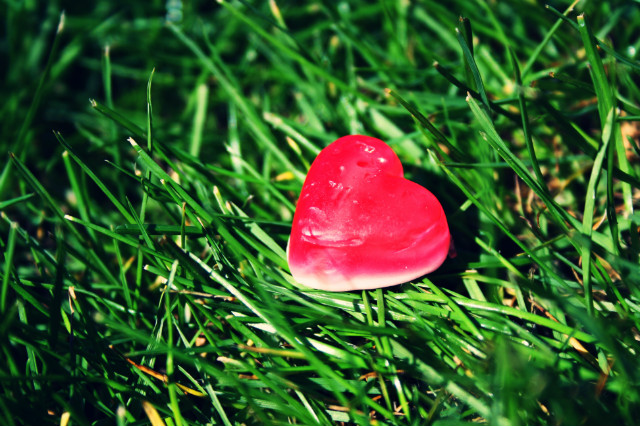 Loving Things