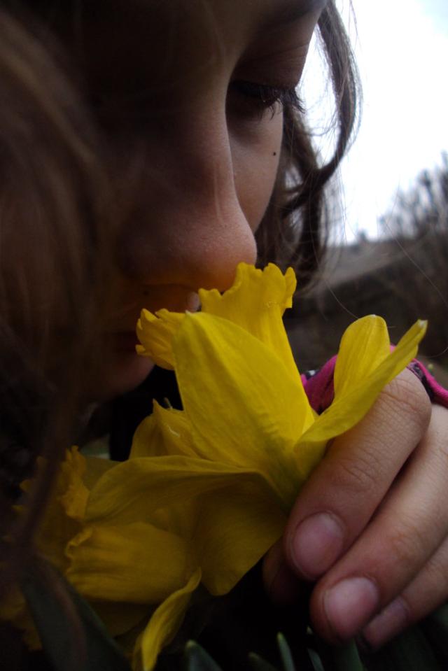 Wiosna 2012