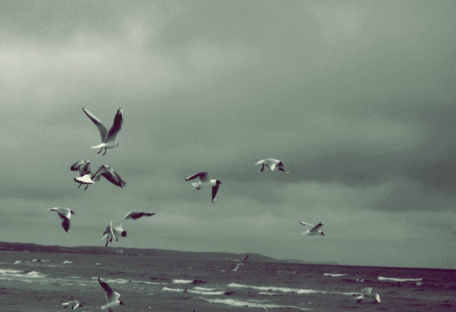 how great it is to fly