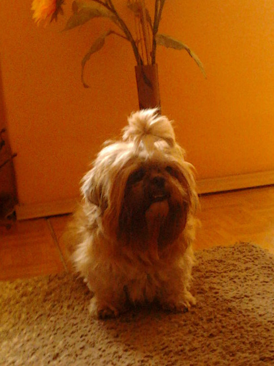 Ojejciuu ! Kocham < 33 ; *.