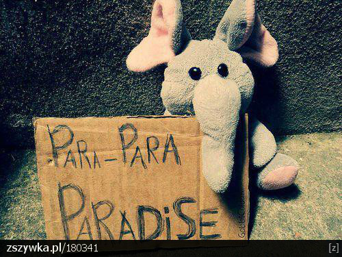 PARADISE!!