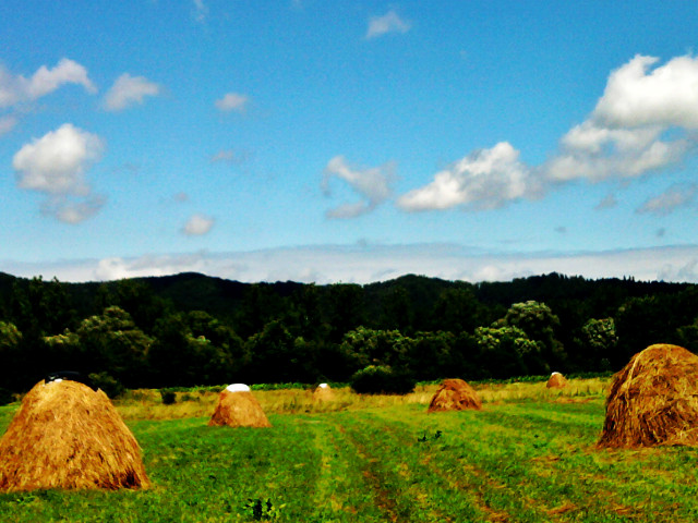 widoczek