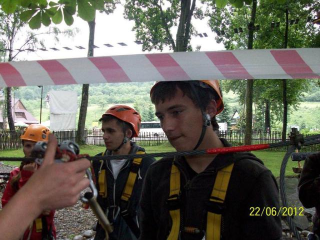 Wpis zelkowymis
